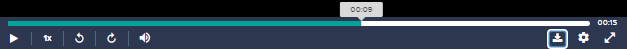 download button.png