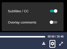 Enabling Subtitles.png